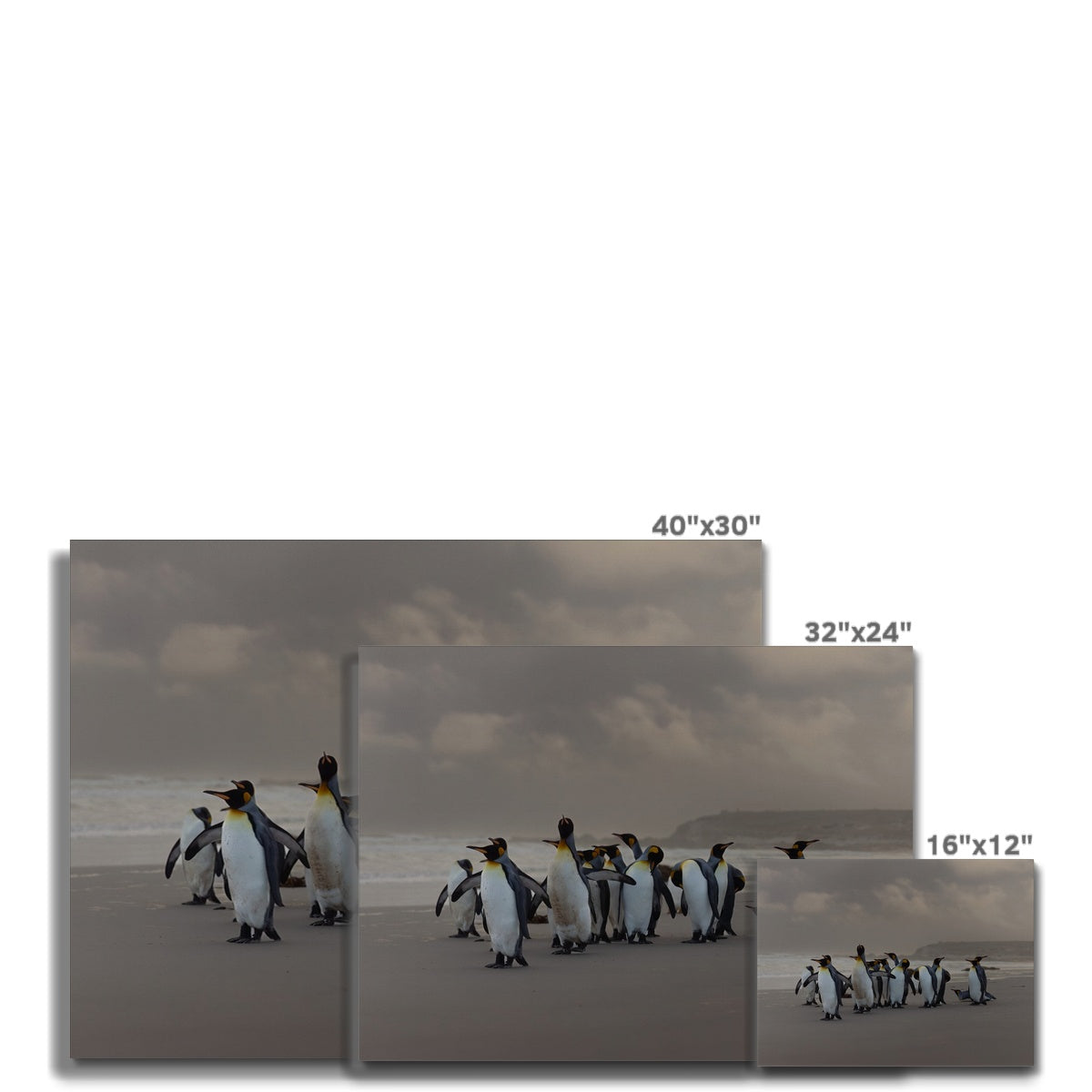 Kings on the beach Canvas