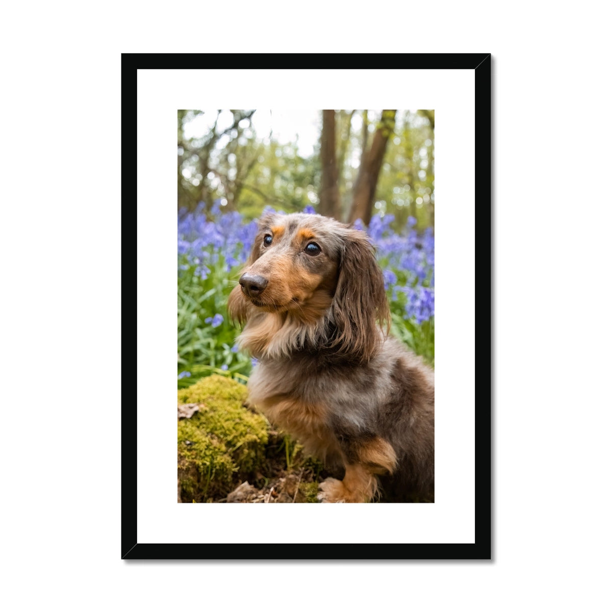 Bella Framed & Mounted Print