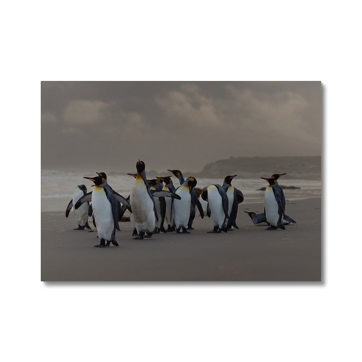 Kings on the beach Canvas