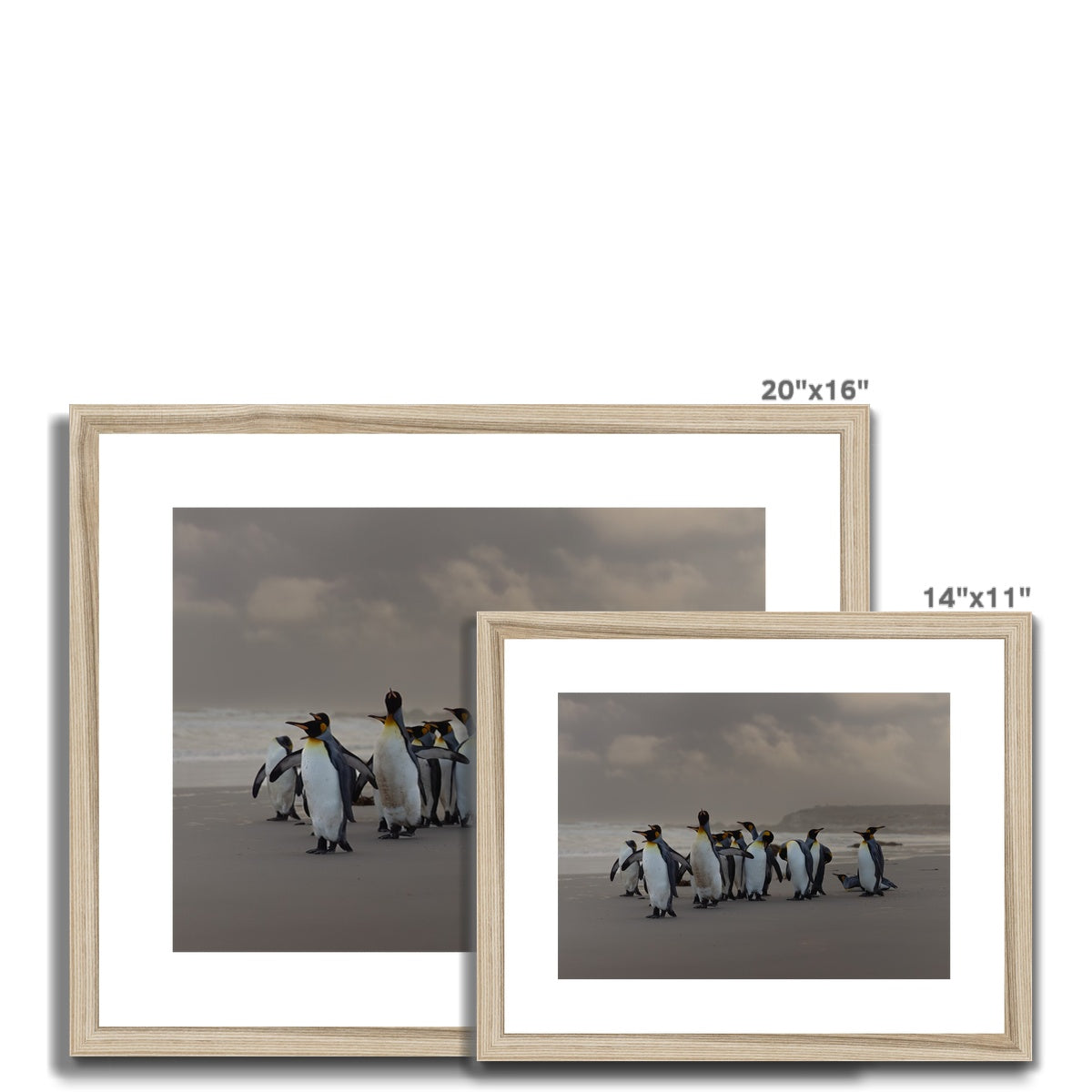 Kings on the beach  Framed & Mounted Print