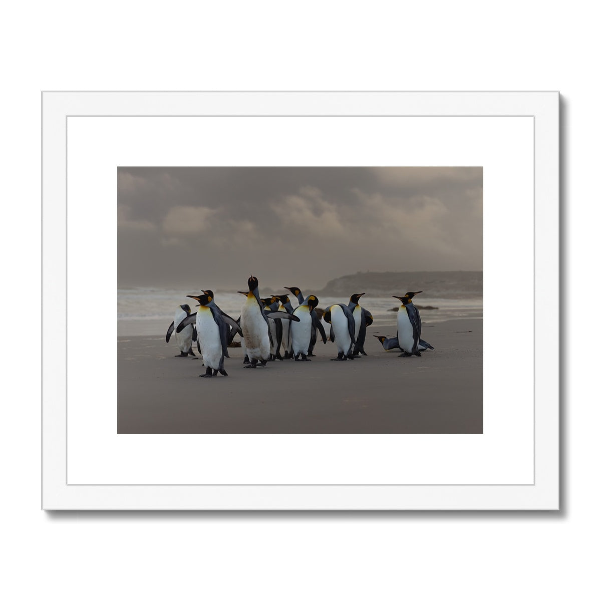 Kings on the beach  Framed & Mounted Print