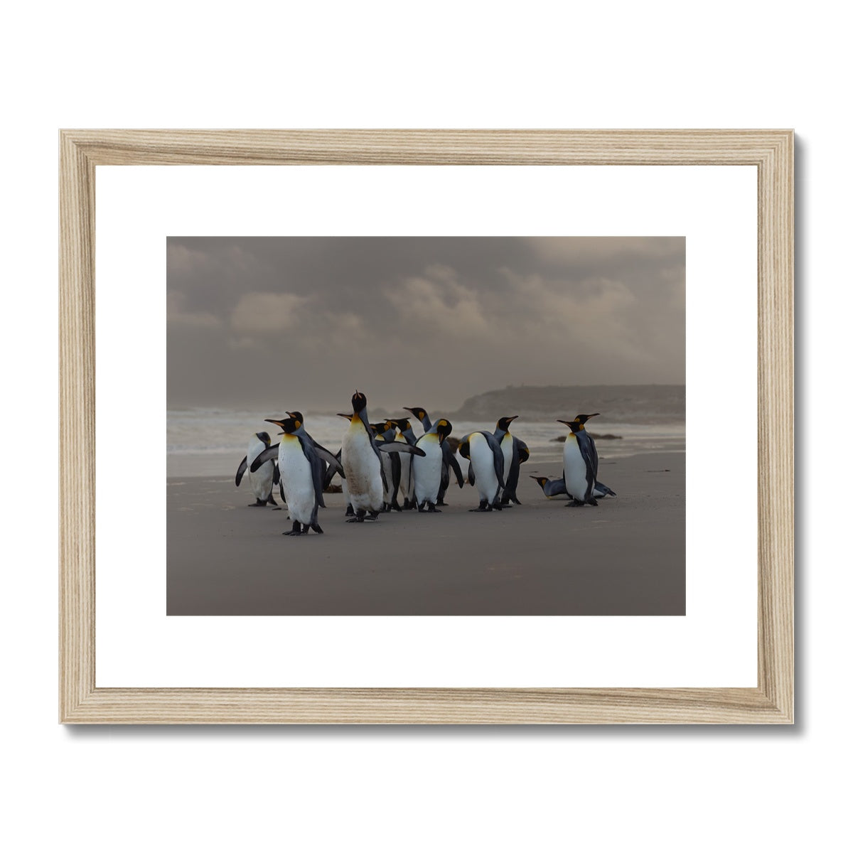 Kings on the beach  Framed & Mounted Print