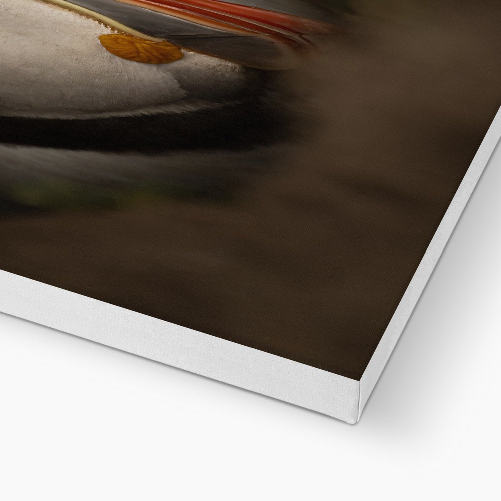 Puffin in nest Canvas