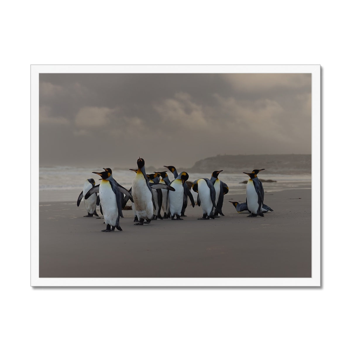 Kings on the beach  Framed Print