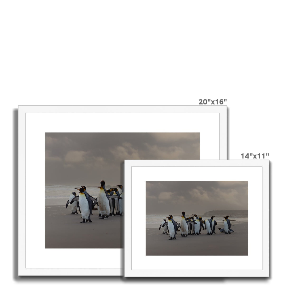 Kings on the beach  Framed & Mounted Print