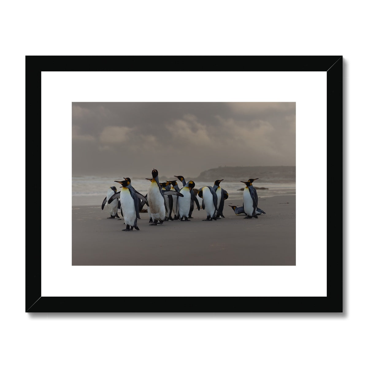 Kings on the beach  Framed & Mounted Print