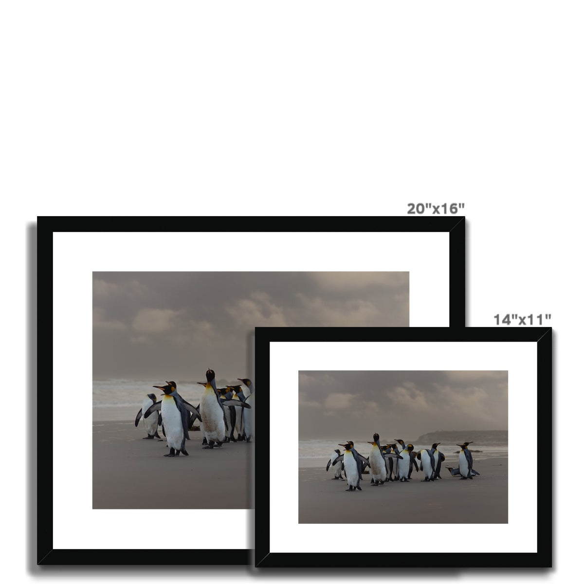 Kings on the beach  Framed & Mounted Print