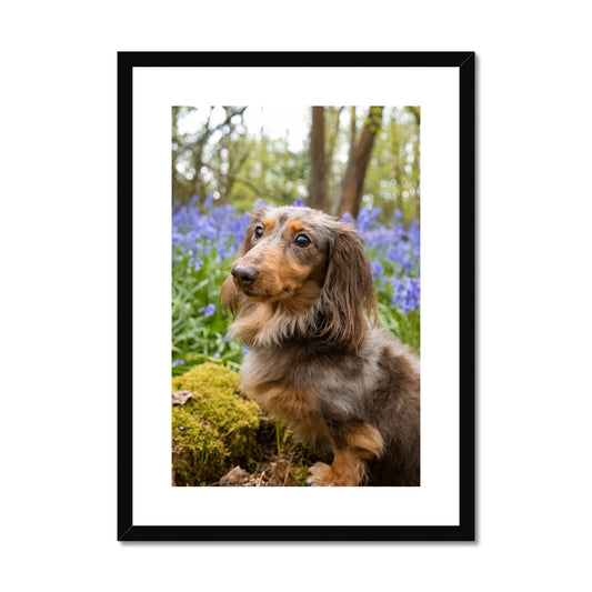 Bella Framed & Mounted Print