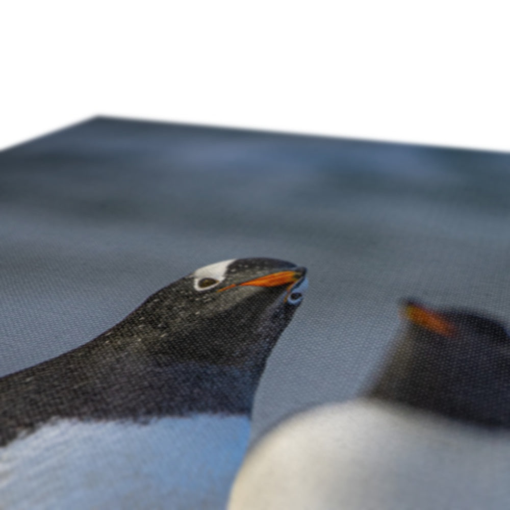 Gentoo Penguins Canvas