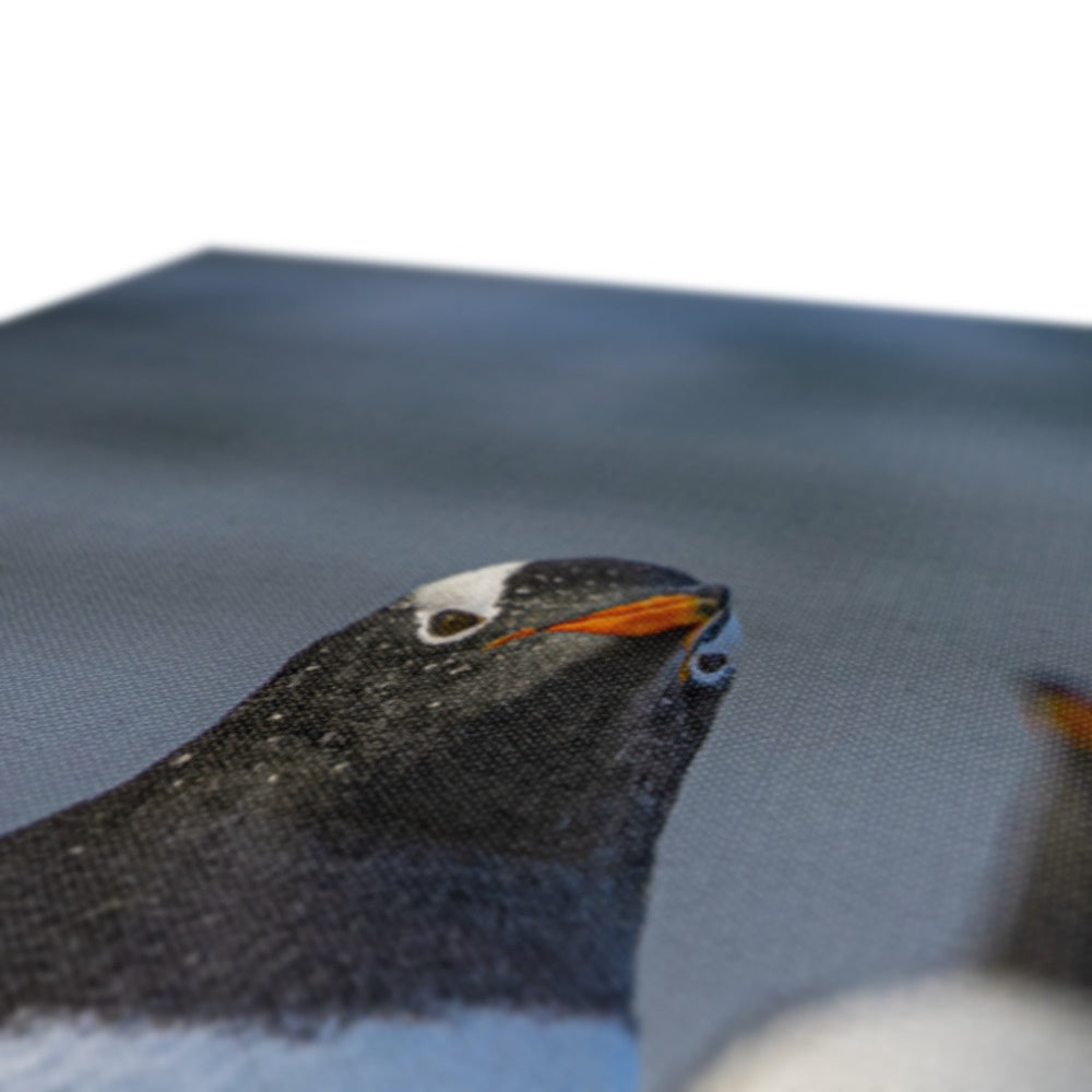 Gentoo Penguins Canvas