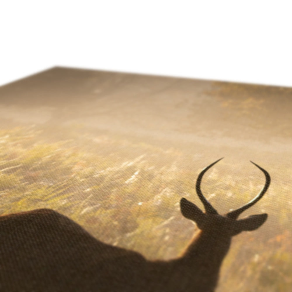 Young stag Canvas